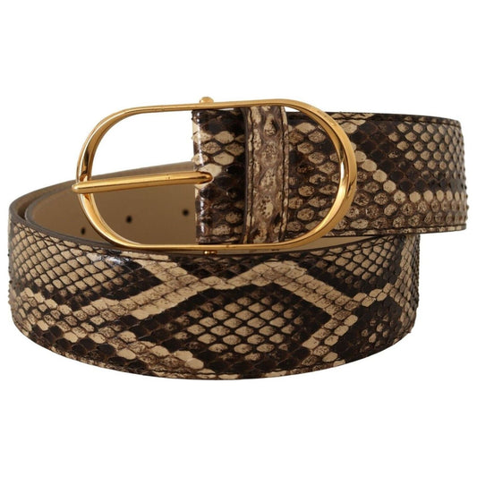 Dolce & Gabbana Elegant Phyton Leather Belt with Gold Buckle WOMAN BELTS brown-exotic-leather-gold-oval-buckle-belt-1
