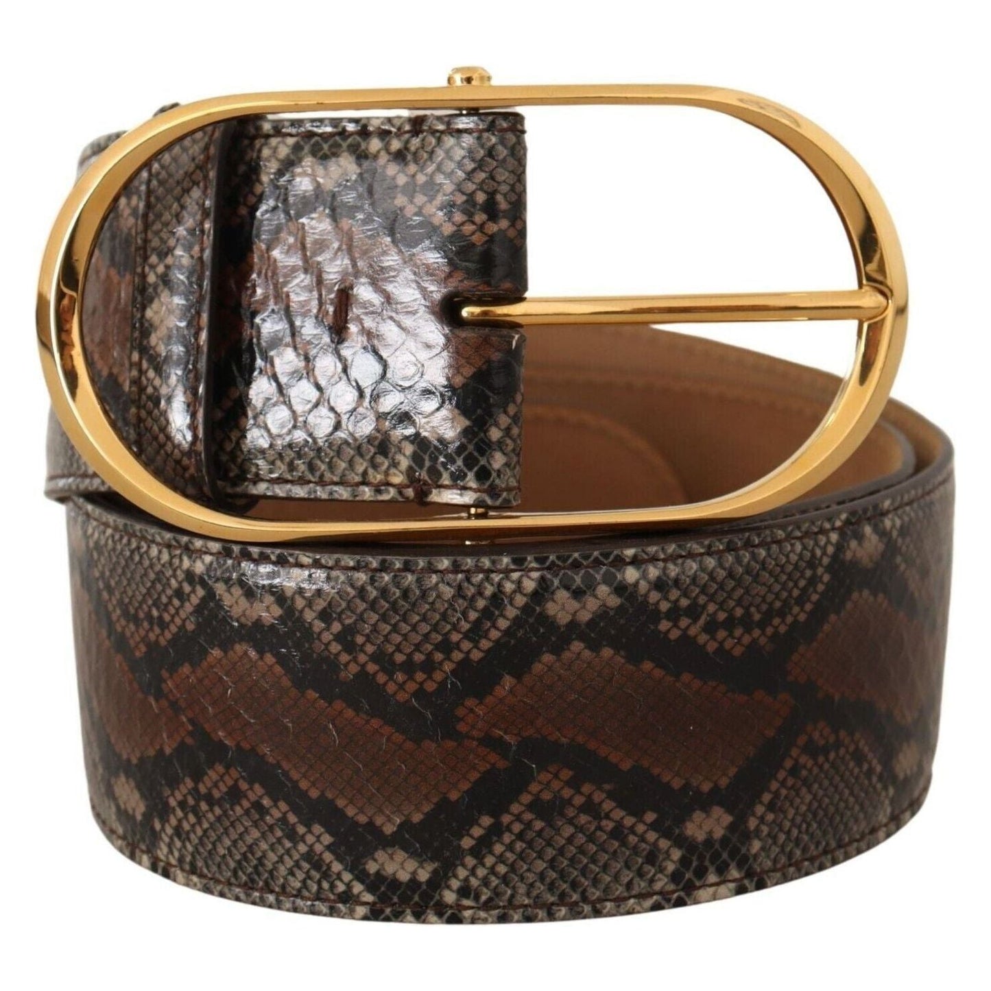 Dolce & Gabbana Elegant Brown Leather Belt with Gold Buckle brown-exotic-leather-gold-oval-buckle-belt-5 WOMAN BELTS
