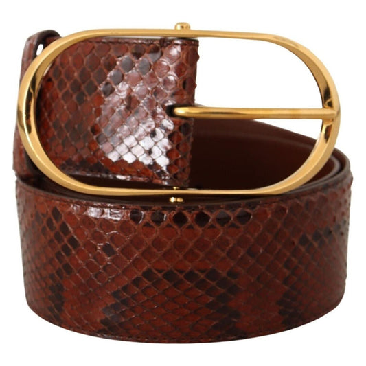 Dolce & Gabbana Elegant Python Snake Skin Leather Belt WOMAN BELTS brown-exotic-leather-gold-oval-buckle-belt-6
