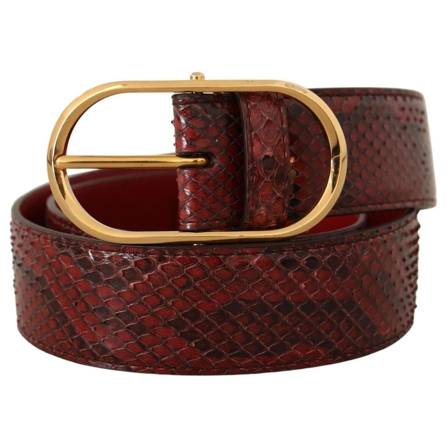 Dolce & Gabbana Elegant Red Snakeskin Leather Belt red-exotic-leather-gold-oval-buckle-belt-1 s-l1600-1-285-57f643c6-568.jpg