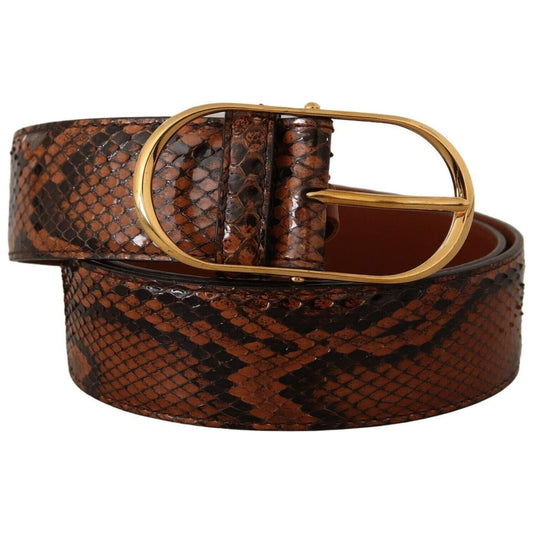 Dolce & Gabbana Elegant Leather Belt with Gold Buckle brown-exotic-leather-gold-oval-buckle-belt-7