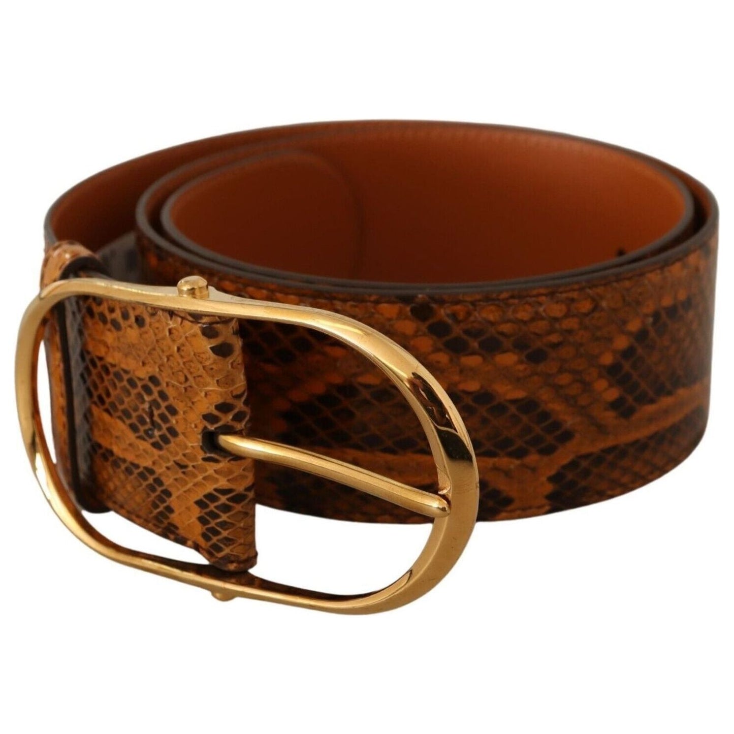 Dolce & Gabbana Elegant Python Skin Leather Belt WOMAN BELTS brown-exotic-leather-gold-oval-buckle-belt