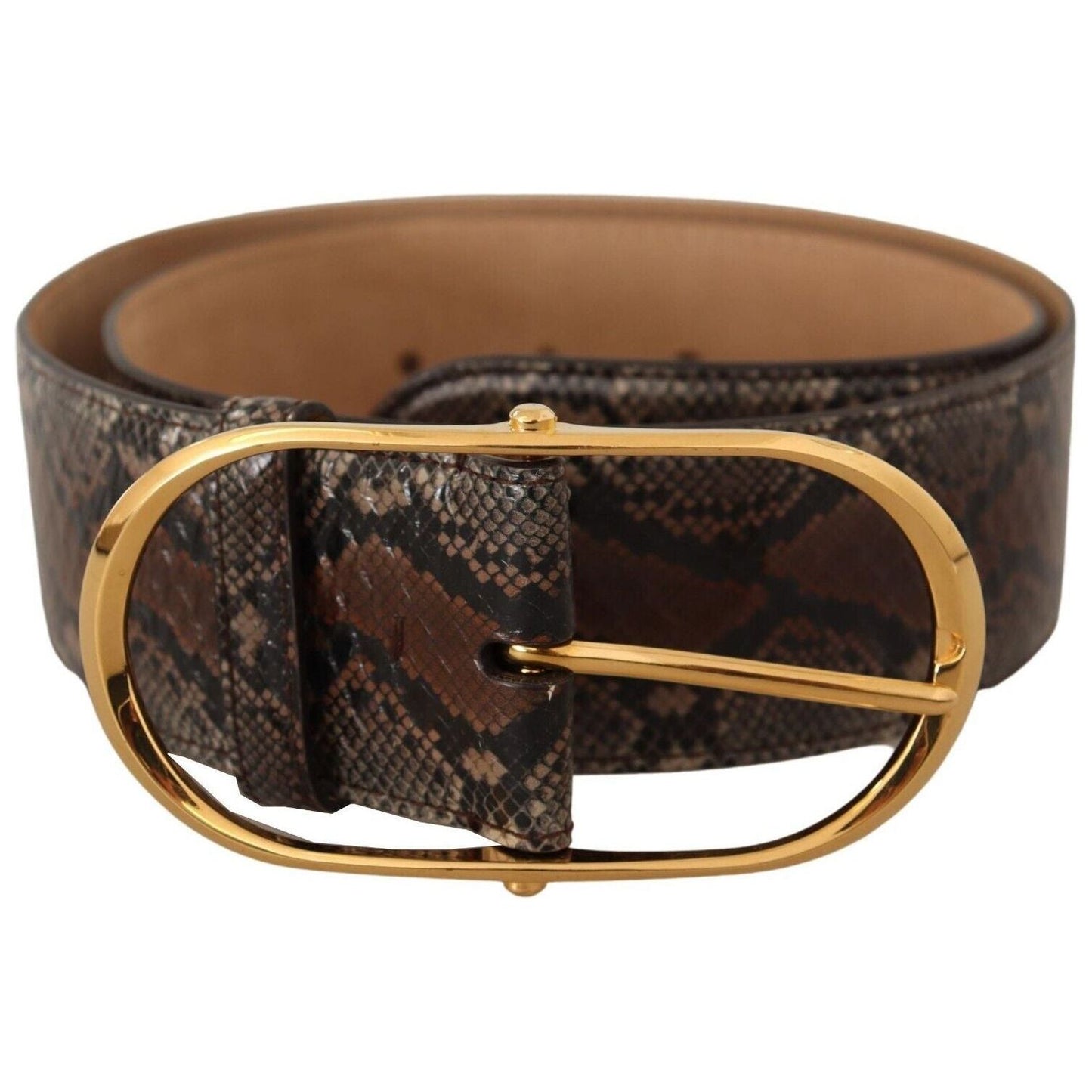 Dolce & Gabbana Elegant Brown Leather Belt with Gold Buckle brown-exotic-leather-gold-oval-buckle-belt-5 WOMAN BELTS