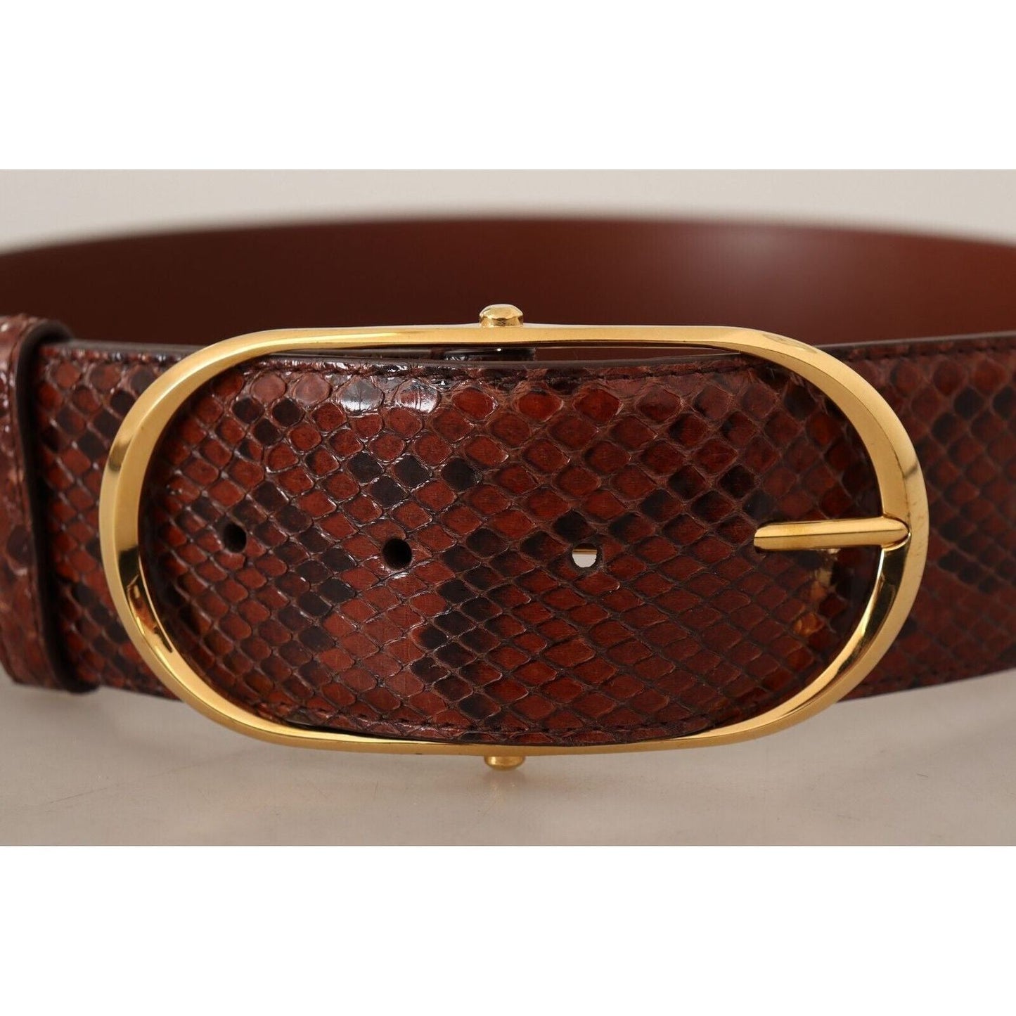 Dolce & Gabbana Elegant Python Snake Skin Leather Belt brown-exotic-leather-gold-oval-buckle-belt-6 WOMAN BELTS
