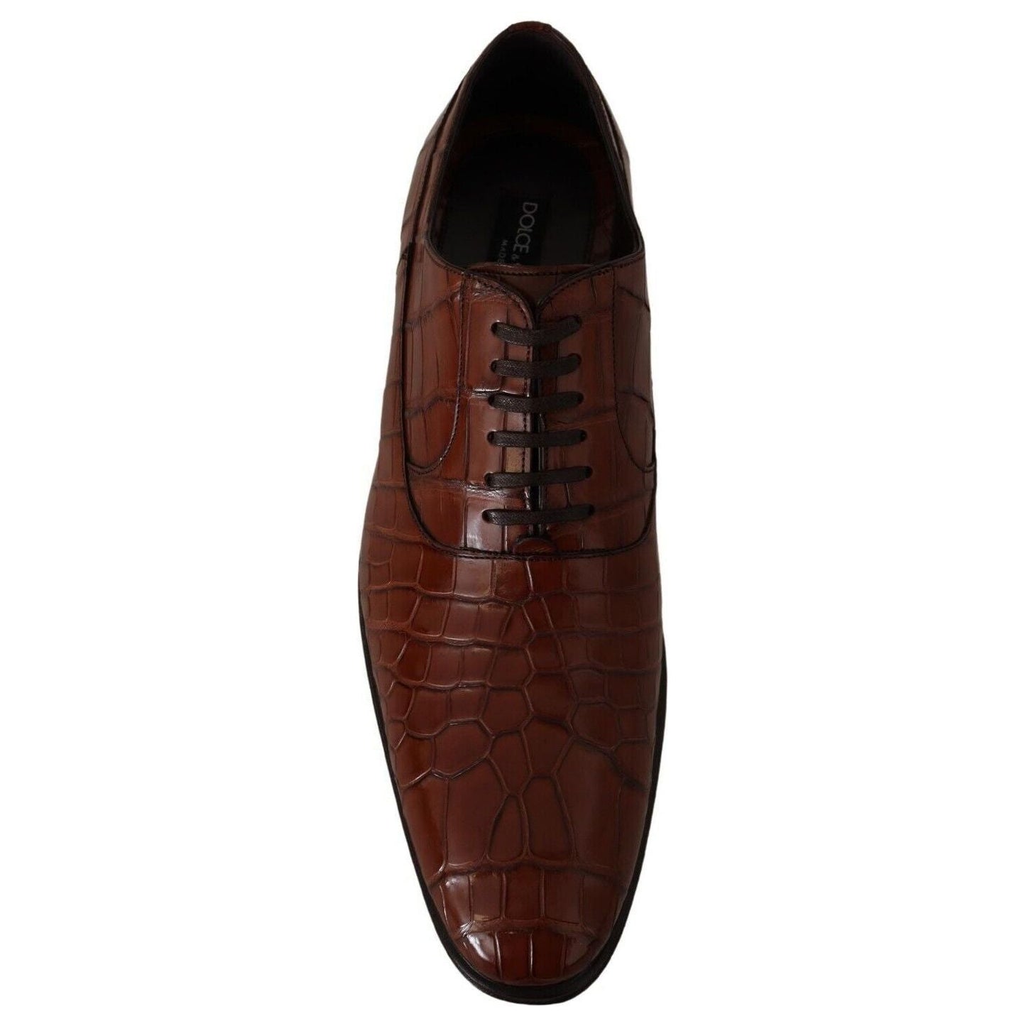 Dolce & Gabbana Elegant Exotic Crocodile Leather Formal Shoes brown-crocodile-leather-mens-formal-derby-shoes