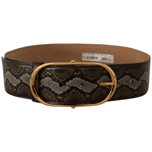Dolce & Gabbana Elegant Gold Oval Buckle Leather Belt WOMAN BELTS brown-python-leather-gold-oval-buckle-belt
