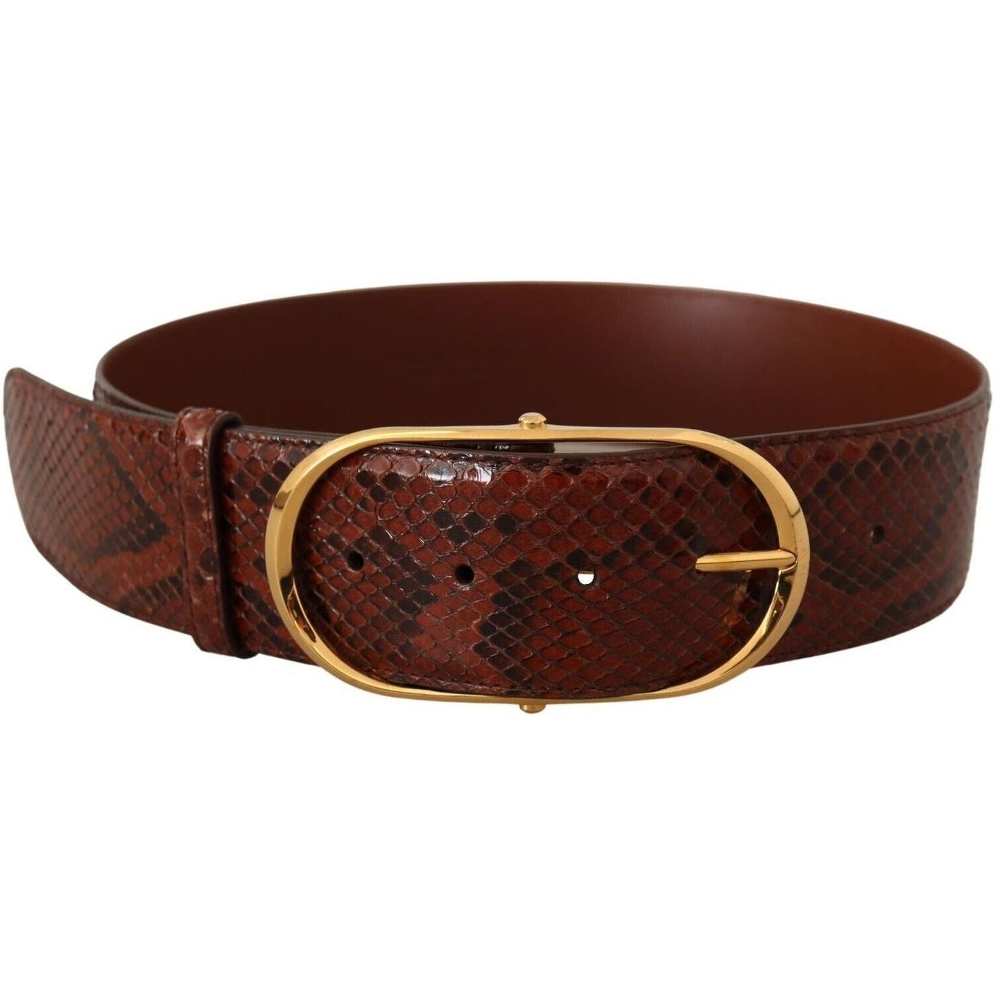 Dolce & Gabbana Elegant Python Snake Skin Leather Belt brown-exotic-leather-gold-oval-buckle-belt-6 WOMAN BELTS