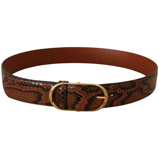 Dolce & Gabbana Elegant Leather Belt with Gold Buckle brown-exotic-leather-gold-oval-buckle-belt-7