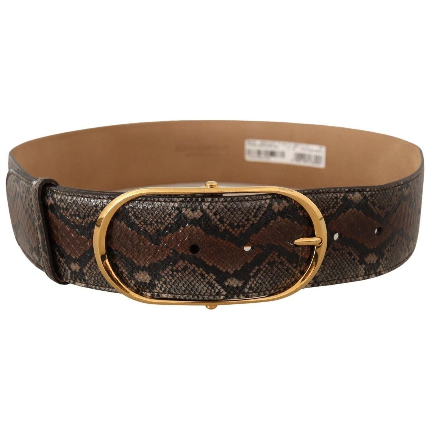 Dolce & Gabbana Elegant Brown Leather Belt with Gold Buckle WOMAN BELTS brown-exotic-leather-gold-oval-buckle-belt-5 s-l1600-3-216-6282e359-671.jpg